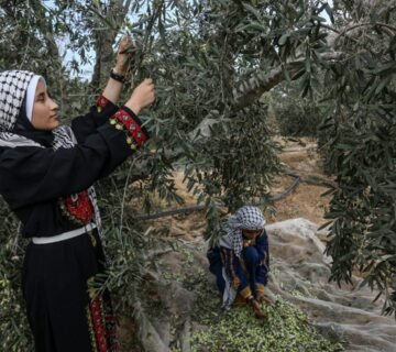 مؤسسات المجتمع المدني في فلسطين
