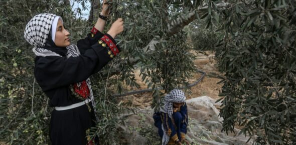 مؤسسات المجتمع المدني في فلسطين