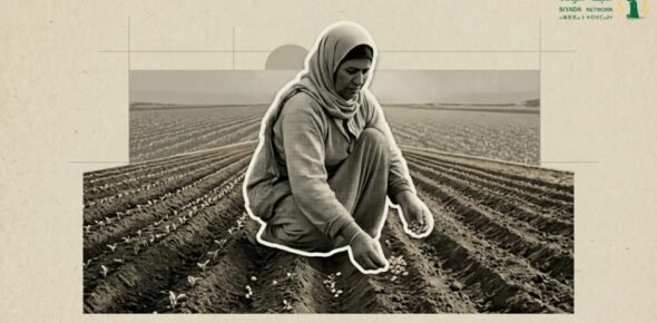 إنتاج الغذاء في تونس