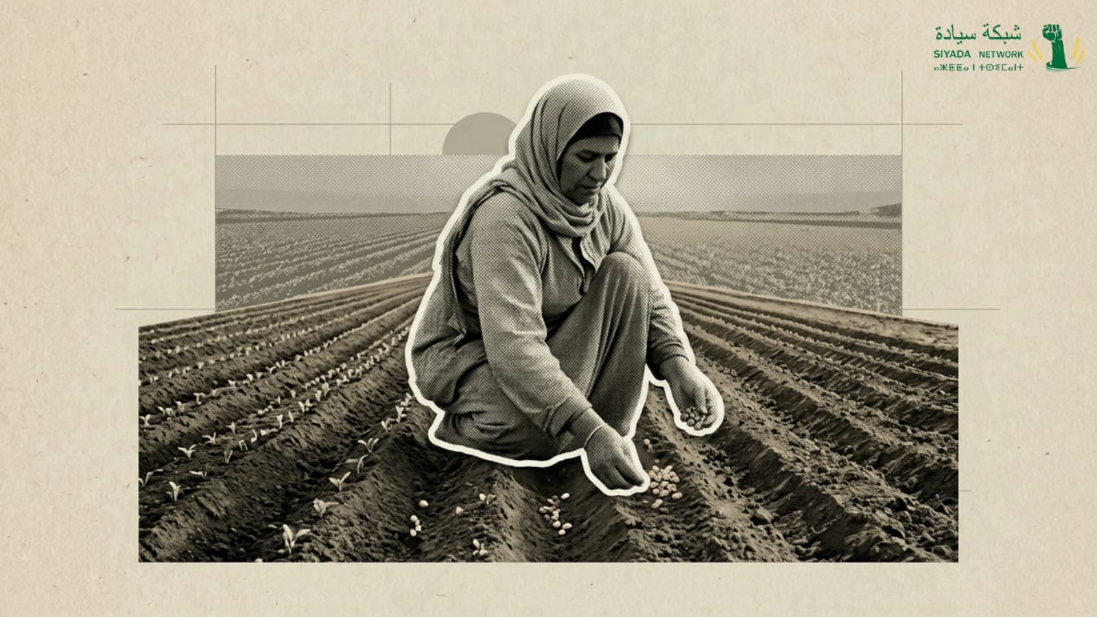 إنتاج الغذاء في تونس