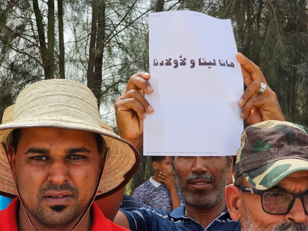 استنزاف المياه في الواحات