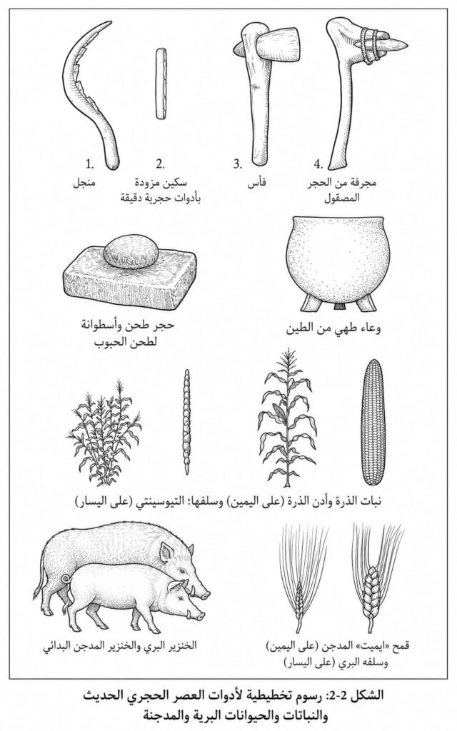 الأدوات الزراعية في العصر الحجري الحديث