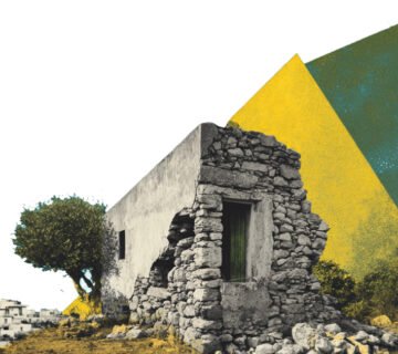 القطاع الزراعي في فلسطين