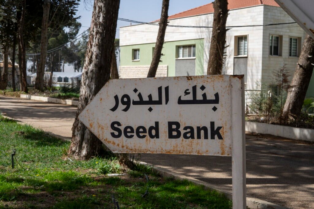بنوك البذور في لبنان
